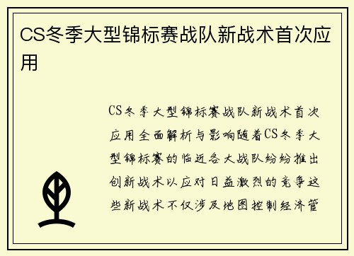 CS冬季大型锦标赛战队新战术首次应用