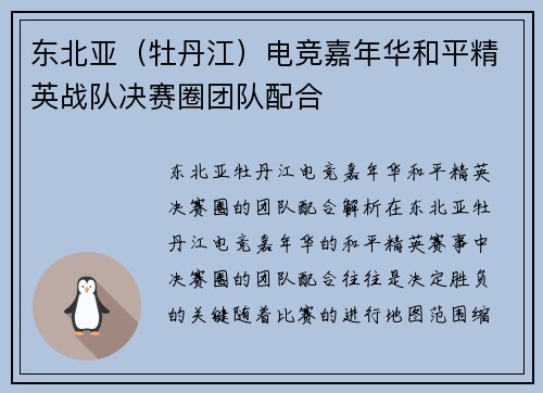 东北亚（牡丹江）电竞嘉年华和平精英战队决赛圈团队配合