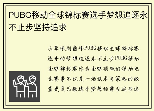 PUBG移动全球锦标赛选手梦想追逐永不止步坚持追求