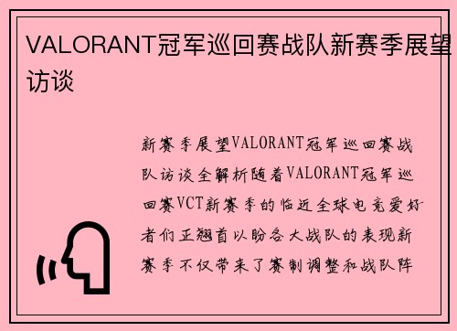 VALORANT冠军巡回赛战队新赛季展望访谈