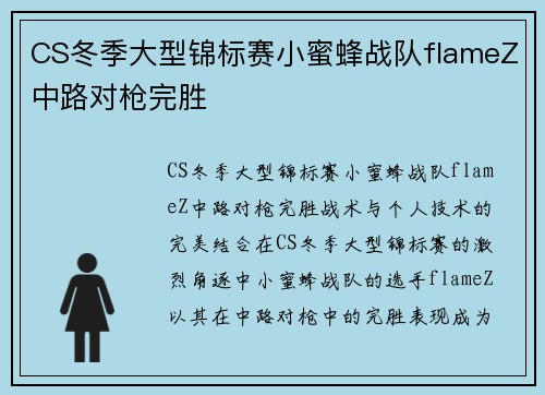 CS冬季大型锦标赛小蜜蜂战队flameZ中路对枪完胜