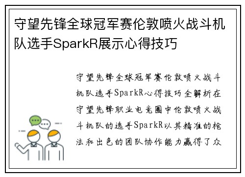 守望先锋全球冠军赛伦敦喷火战斗机队选手SparkR展示心得技巧
