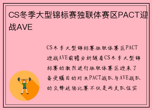 CS冬季大型锦标赛独联体赛区PACT迎战AVE